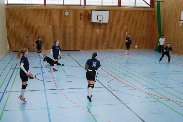 26. Deutsche Indoor Baseballmeisterschaft